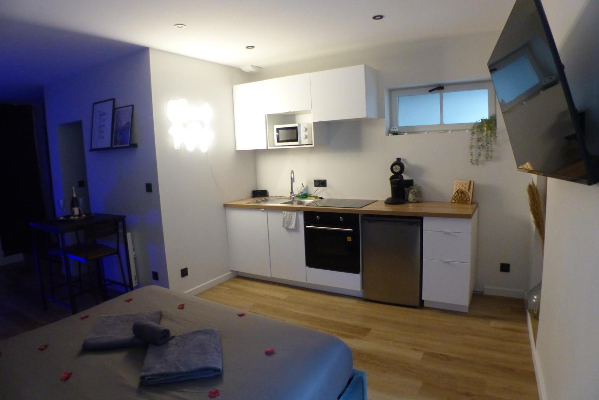 Appartement Balneotherapie Et Sauna Hyper Centre Nantes Ngoại thất bức ảnh